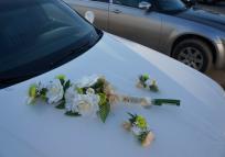 Limo Lincoln Towncar decorated wedding trappings: the rings and ribbons