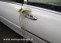 limousine rented bands with flowers on the front hood